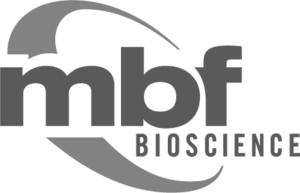 MBF logo vector Black